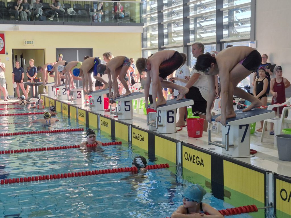 Schneeflockencup in Plauen